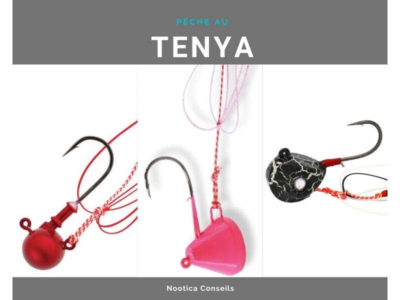 Scopri la pesca con tenya