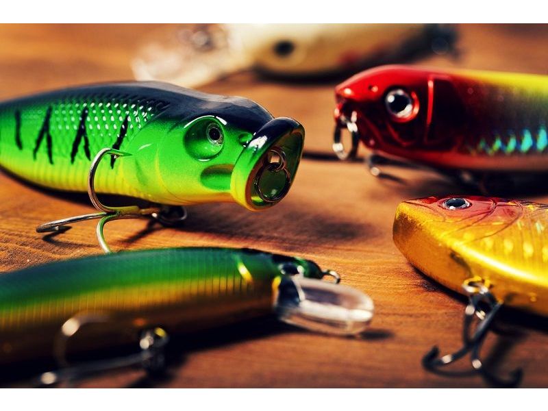 Qual è la differenza tra crankbait, jerkbait e spinnerbait?