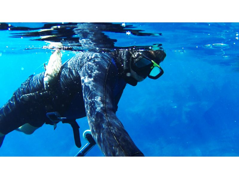 Come scegliere la zavorra per la pesca subacquea?