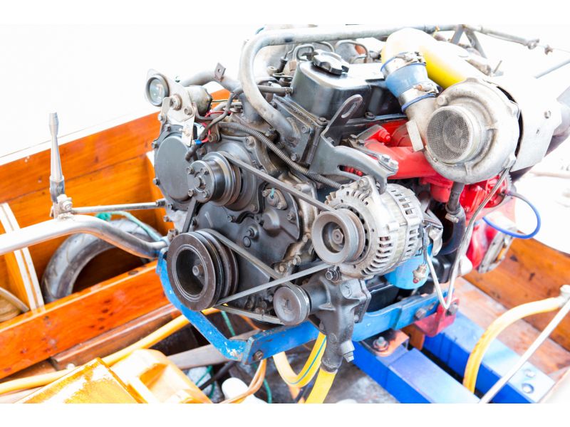 Qual è lo scopo del grasso marino?