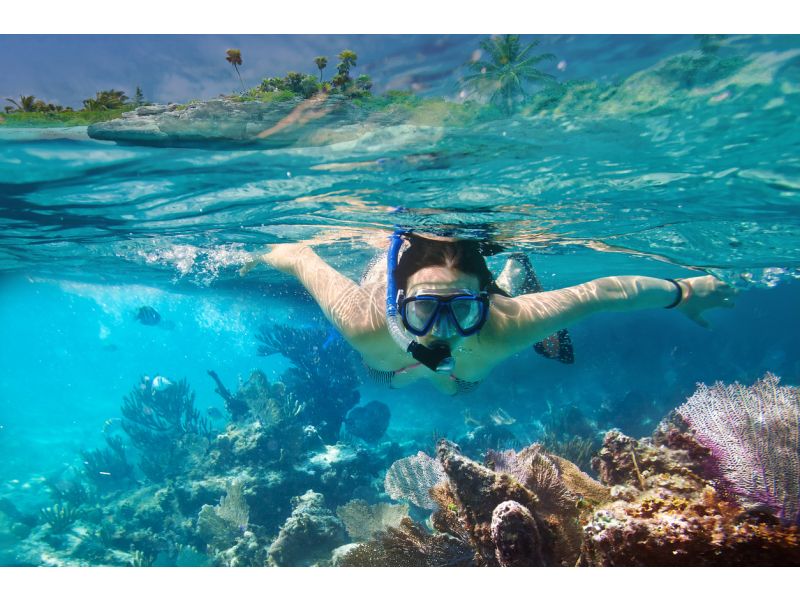 Tutto quello che c'è da sapere sullo snorkeling