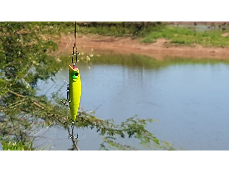 Cosa sono le esche artificiali di superficie?