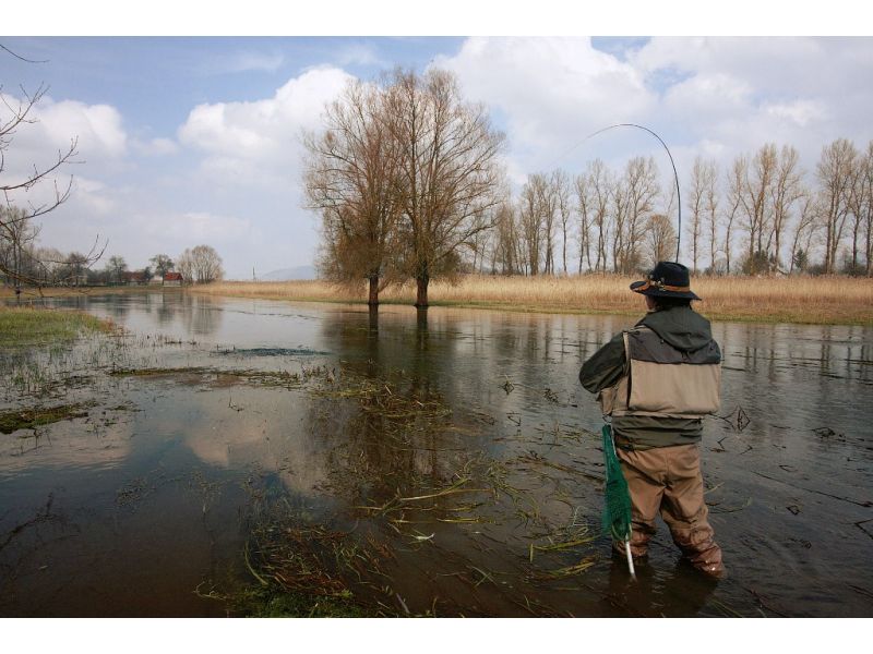 La pesca in acqua dolce