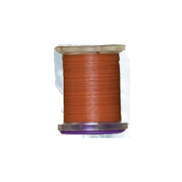 Dal Primo Di Maggio Tre Tipi Di Insetti A Tavola - SWI - Foto 10