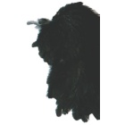 Collo Di Gallina JMC Nero