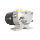 Raymarine pompa idraulica reversibile Tipo 1 - 24V
