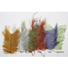 JMC Piume Struzzo Zebra Arancione Struzzo Zebra