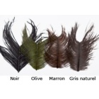 Piume JMC Struzzo marrone