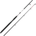 Canna da barca Dam Aqua-X Boat - 2.10M 100-250Gr 20Lbs