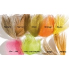 Fianco del germano reale JMC Giallo