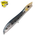 Superficie Xorus Patchinko 100 UL015 Ghost Iwashi Lure di superficie Patchinko 100 UL015 Ghost Iwashi