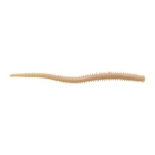 Leurre Souple Berkley Gulp! Isome Futomi 10 cm - Par 12 - Natural