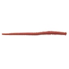 Leurre Souple Berkley Gulp! Isome Futomi 10 cm - Par 12 - Bloody