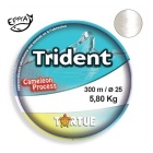 Nylon Trident 300 m - 70/100 40,6kg