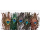 Oeil De Paon JMC Tinta Arancione Naturale