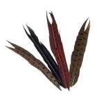 Coda di fagiano naturale JMC