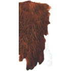 Collo Di Gallina JMC Roux