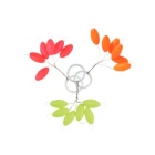 Strick Lock Skaw Arancione