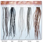 Piume Leon Whiting Microbarb 100'S grigio chiaro