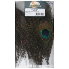 JMC Peacock Eye 10 occhi