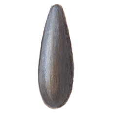 Olivette siluri sacchetto di 5 - 1 gr