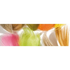 Fianco del germano reale JMC