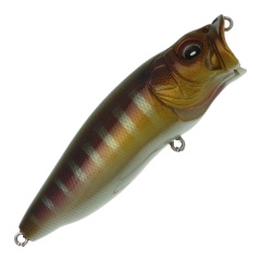 La superficie massima popMegabass attira