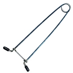 Baillon su Luccio Ragot