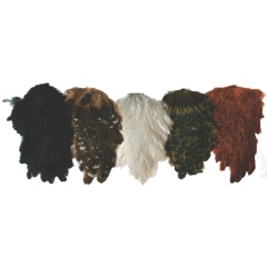 Collo Di Gallina JMC