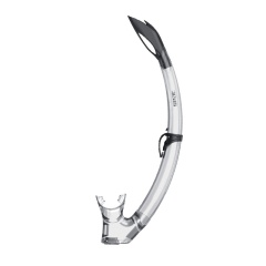 Boccaglio sub Seac sub Tribe