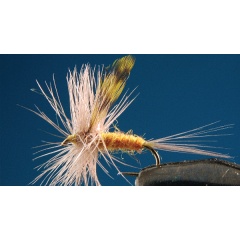 Set di 2 mosche Ritrogena Ephemera