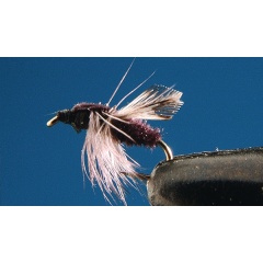 Set di 2 mosche nere da terra