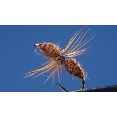 Set di 2 formiche marroni