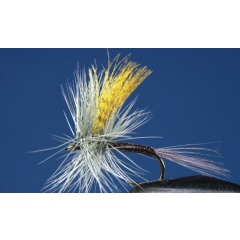 Set di 2 mosche Gordon Quill Ephemera