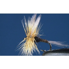 Set di 2 mosche Baetis Niger