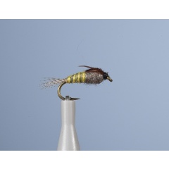 Fly Nymph JMC Bm 14 H18