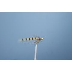 JMC Bone 5 H6 Sea Fly JMC Bone 5 H6