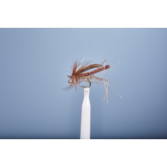 Earth Fly JMC Cousin 10 BL H10