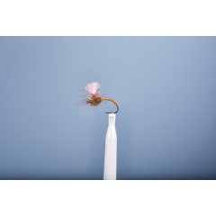 Emergenti Fly JMC Dc 3 BL H16