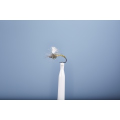 Emergenti Fly JMC Dc 4 BL H16