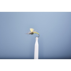 Emergenti Fly JMC Dc 6 BL H12