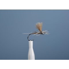 Emergenti Fly JMC Dc 100 BL H18