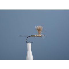 Emergenti Fly JMC Dc 101 BL H16