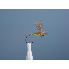 Emergenti Fly JMC Dc 104 BL H16