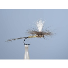 Emergente Fly JMC Dc 53BL H12