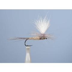 Emergente Fly JMC Dc 55BL H10