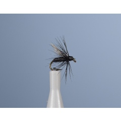 JMC Fo 1 H18 Earth Fly