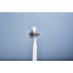 Earth Fly JMC FO 21 H14