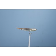 JMC Streamer Sea Fly Gummy 1 H 2