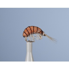 Fly Nymph JMC Jcc 100 H14